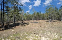 573 Qualls Road, Ridgeway, SC 29130