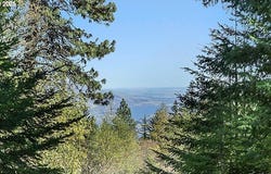 101 COOKE RD, White Salmon, WA 98672