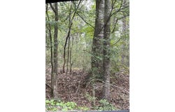 00 Dunn Road, Terry, MS 39170