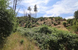 11231 Anderson Springs Road, Middletown, CA 95461