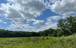Osceola, IA 50213