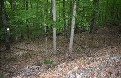 Lot 11 & 13 Mohawk Drive W, Webb, NY 13420