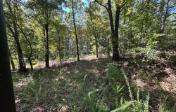 3119  Doc gray road, Maynard, AR 72444