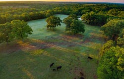 33100 S 529th West Ave, Stroud, OK 74079