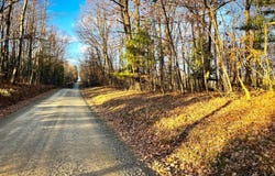 0 Oak Hill Rd, Lowman, NY 14861