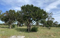 Lot 41062 Hi Ridge, Horseshoe Bay, TX 78657
