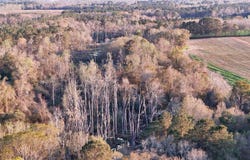 Cuffhead Rd., Cairo, GA 39828