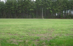 Gary Road Oak Grove Community, Latta, SC 29565