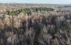 Marshall, AR 72650
