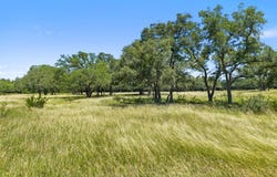 938 Lot 1 Lindeman Ln, Blanco, TX 78606