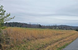 ANTLER Drive lot: 28, McGrady, NC 28649