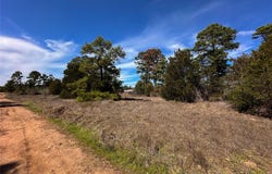 Lot 3 Winding Pine DR, Bastrop, TX 78602