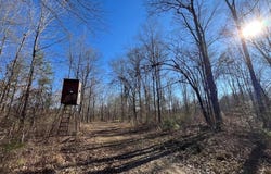 9307a Ms 28, Fayette, MS 39069