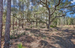 72 Lupine Road, Bluffton, SC 29910