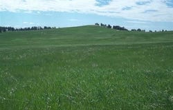 TBD War Bonnet Road, Custer, SD 57730