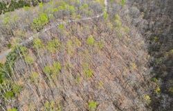 78 Sandstone Trail, Monticello, KY 42633