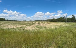 000 Highway 253, Donalsonville, GA 39845
