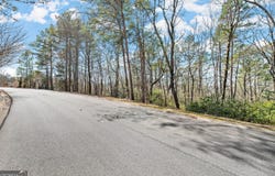 0 Golden Delicious, Clarkesville, GA 30523