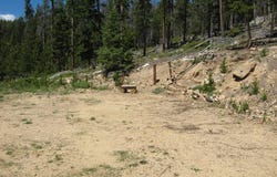1244 Mosquito Dr, Red Feather Lakes, CO 80545