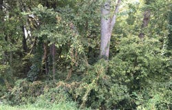 Washington Road, Stoughton, WI 53589