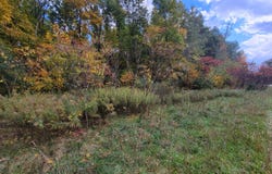 74016 Ridgeway Drive, Lawton, MI 49065