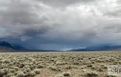 Tbd Mulligan Road, Mackay, ID 83251
