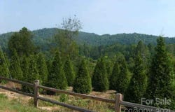 Highland Meadows Way, Lenoir, NC 28645