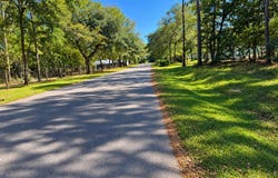 8127 Gabe (Lot 2) Road, Adams Run, SC 29426