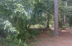 00 Dixon Ln, Pine Bluff, AR 71603