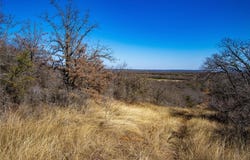 Lot 31 Tababanica Court, Mingus, TX 76453