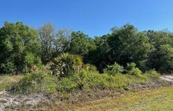 17119 NW 276th Street, Okeechobee, FL 34972
