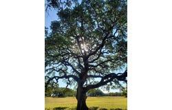 974 Blackbuck Ridge Drive, Lampasas, TX 76550