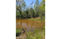 600 County Rd. 431, Ripley, MS 38663