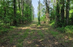 0 Fish Road, Dalzell, SC 29040