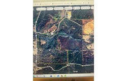CO RD 87, Winfield, AL 35594