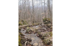Harper Trail, Valley Bend, WV 26293