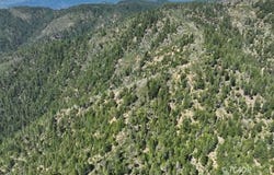 2510 FS Rd, Hyampom, CA 96046
