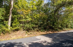 Golf Course Rd lot: 14 & 38, Spencer, VA 24165