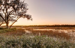 4009 Ballovista Road, Johns Island, SC 29455