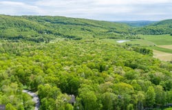103 SUGAR MAPLE LANE, MC HENRY, MD 21541