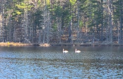 2814 PICKEREL LAKE RD, Eagle River, WI 54521