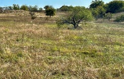 Tbd TBD2, Aledo, TX 76008