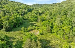 0 Black Branch Road, Burkesville, KY 42717