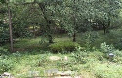 910  Edgewood Rd, Gadsden, AL 35901
