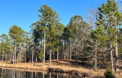 010 Mallard Circle, Butler, GA 31006