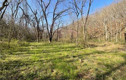 Brush Creek  RD, Noel, MO 64854