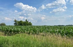 St Croix Rd SE - E Parcel 20.79 Ac, Pine City, MN 55063