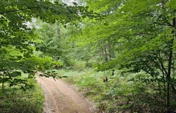 V/L Canyon Road, Leroy, MI 49665