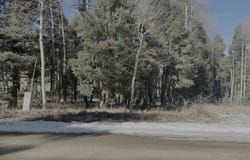 Vail Loop lot: 363, Angel Fire, NM 87710