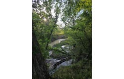 Sunshine Ln, Pangburn, AR 72067